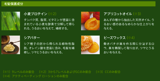スクリーンショット 2013-02-15 15.42.39 3