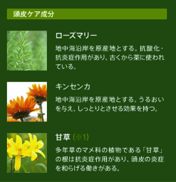 スクリーンショット 2013-02-15 15.42.39 3