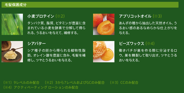 スクリーンショット 2013-02-15 15.42.39 3