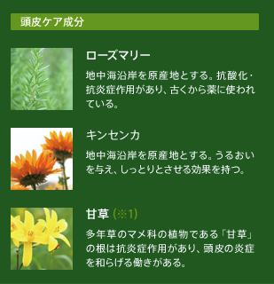 スクリーンショット 2013-02-15 15.42.39 3