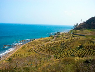石川 2