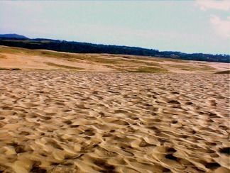 DVC00101