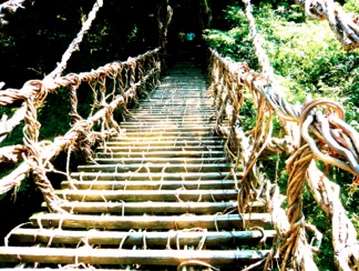 P1000992